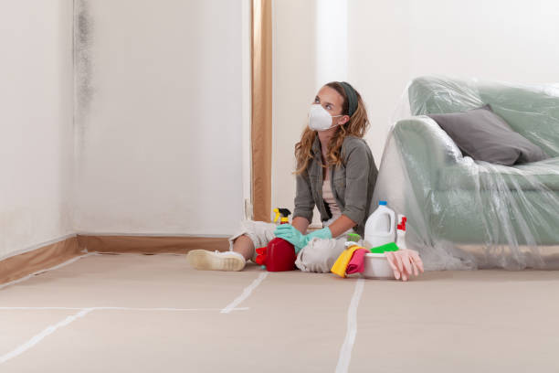Reliable Mold Remediation contractor in Succasunna, NJ by 24 Hour Mold Removal